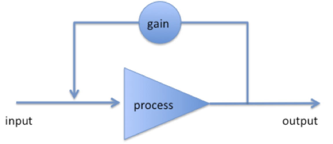 Feedback loop sketch