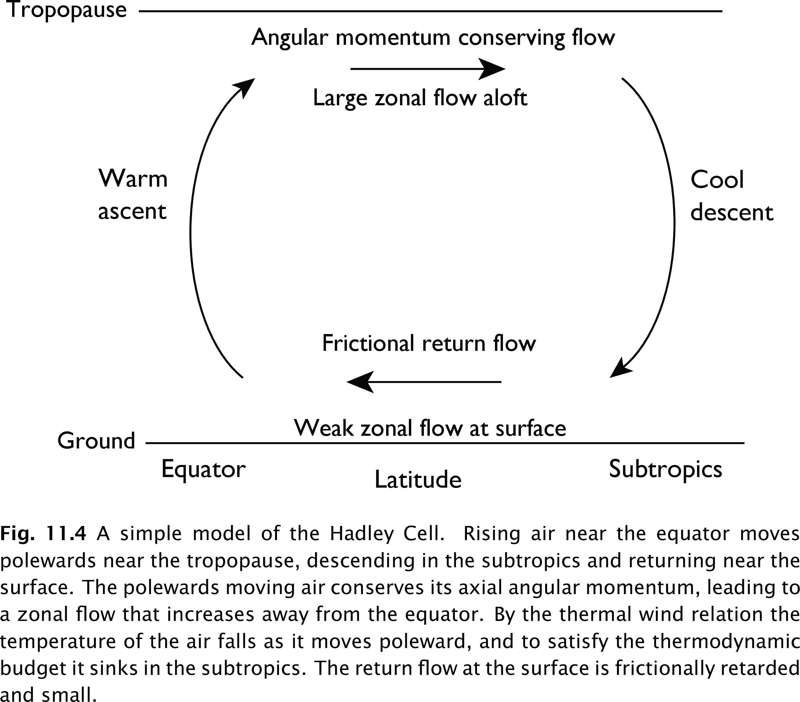 A simple model of the Hadley Cell