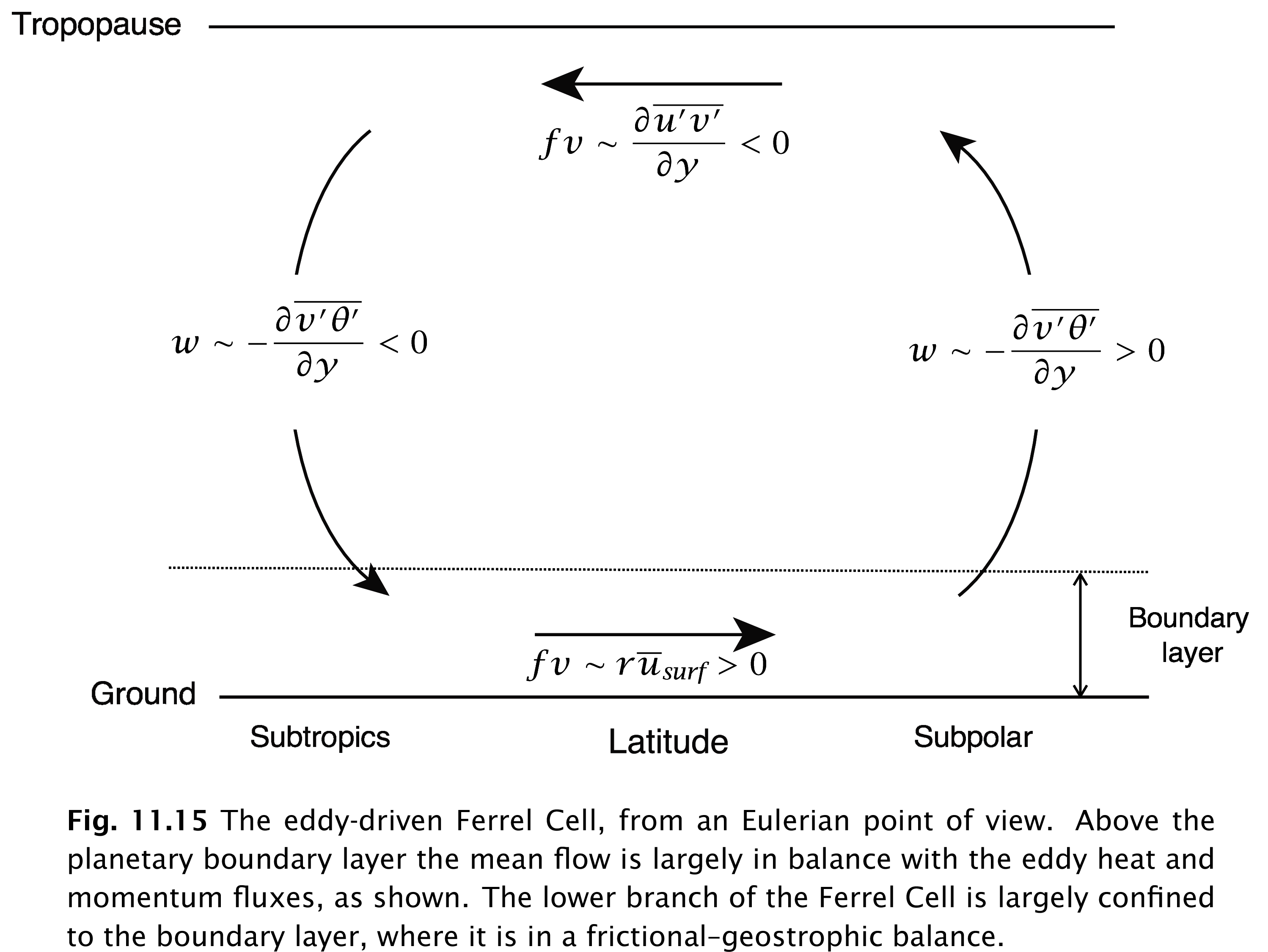 The eddy-driven Ferrel Cell, from an Eulerian point of view